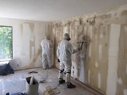 Best Biohazard Mold Removal in USA